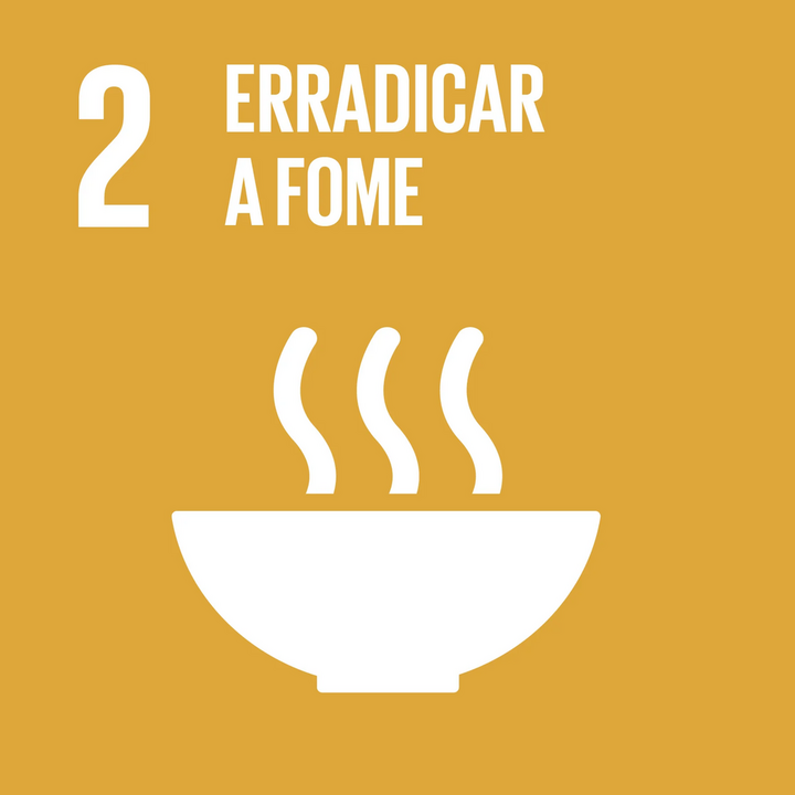 Ícone oficial do ODS 2: Fome Zero e Agricultura Sustentável