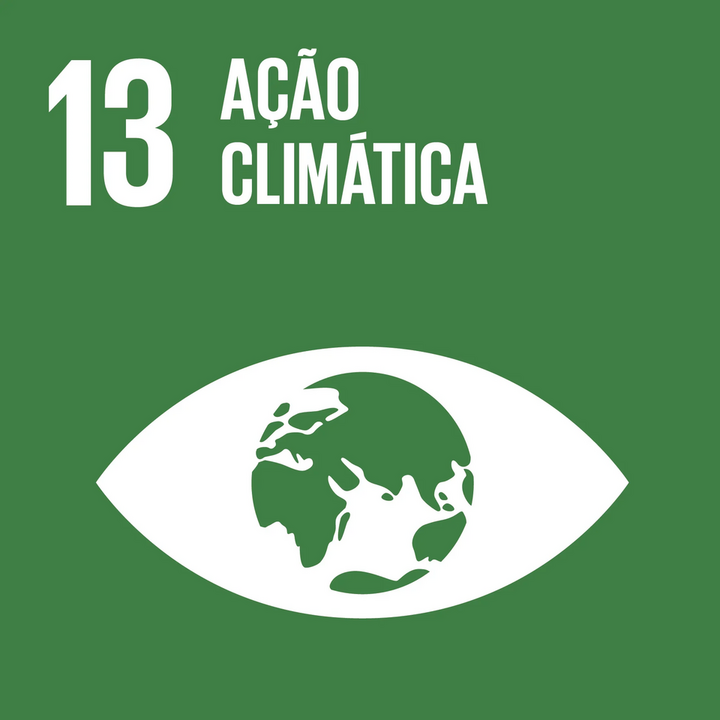 Ícone oficial do ODS 13: Ação Contra a Mudança do Clima
