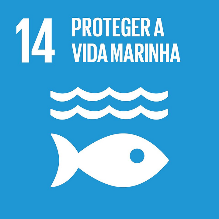 Ícone oficial do ODS 14: Vida na Água