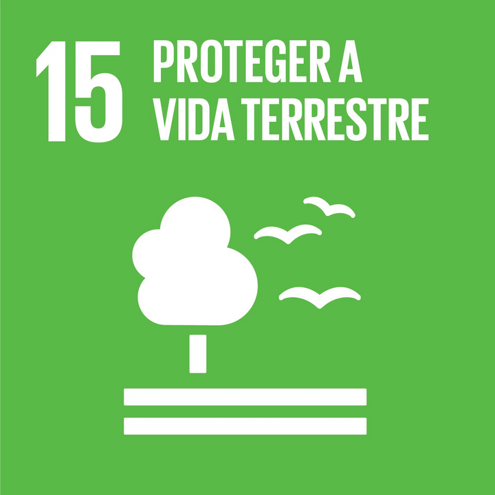 Ícone oficial do ODS 15: Vida Terrestre